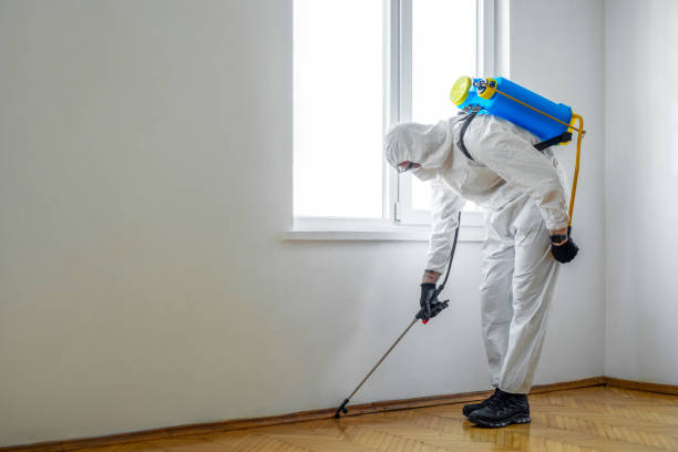 Reliable Lancaster, OH Pest Control Solutions