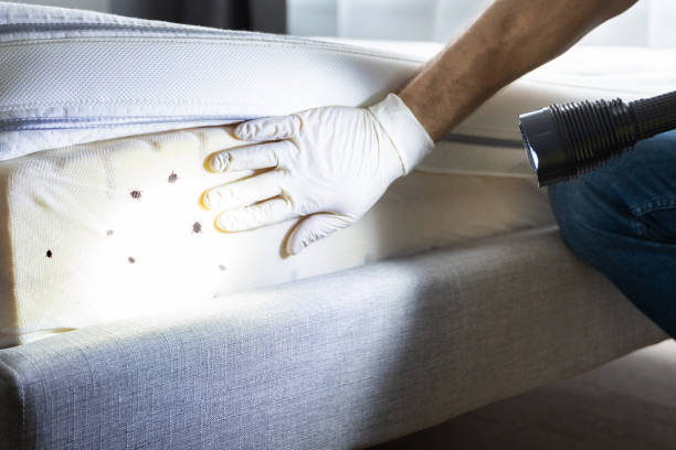 Best Local Pest Control Services  in Lancaster, OH