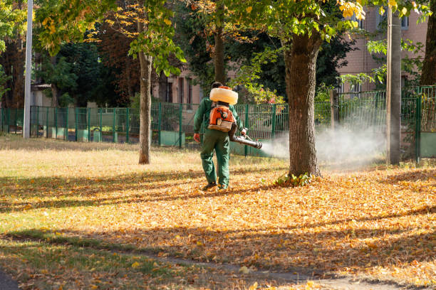 Best Bird Control  in Lancaster, OH
